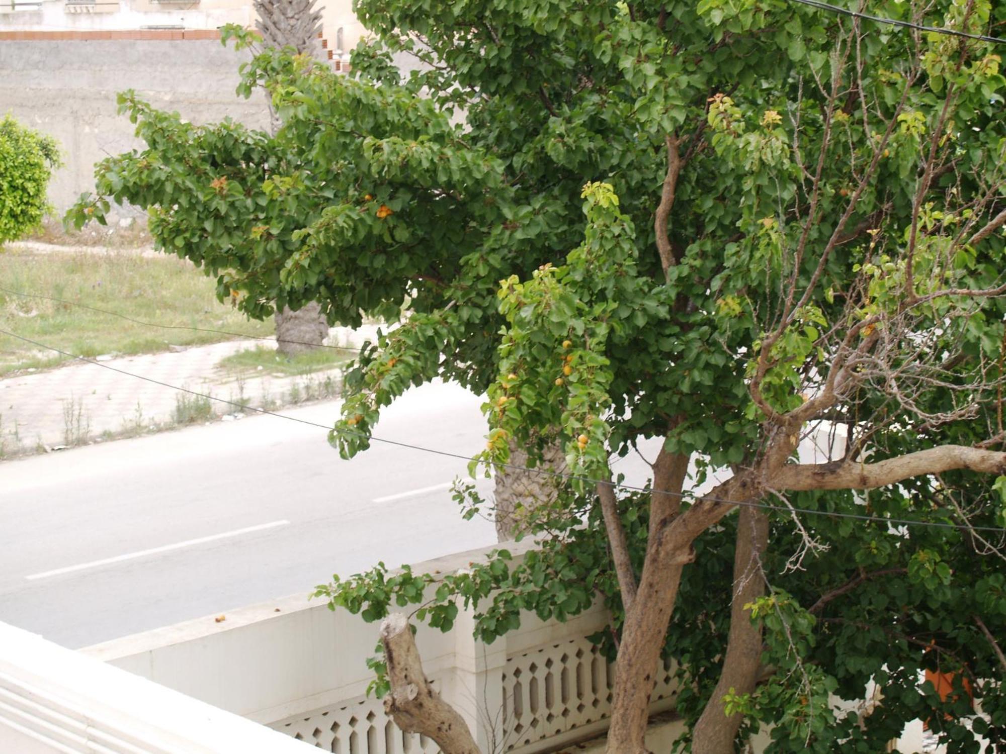 Dar El Amen Appartements Mahdia Phòng bức ảnh